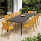 Nardi Tevere 210 Extendable Table with Bit Bistrot Chair - 11 Piece Resin Outdoor Dining Setting