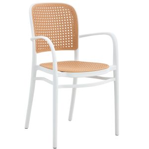 Zara Plastic Resin Armchair