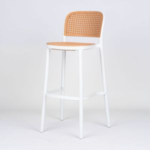 Zara Plastic Resin Bar Stool
