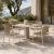 BLOO Tube and Pebl Tolo 5-Piece Outdoor Dining Set - Mocha