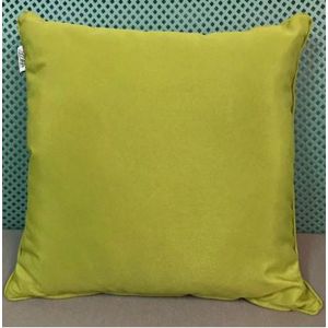 Outdoor Square Light Green Cushion 45 x 45cm